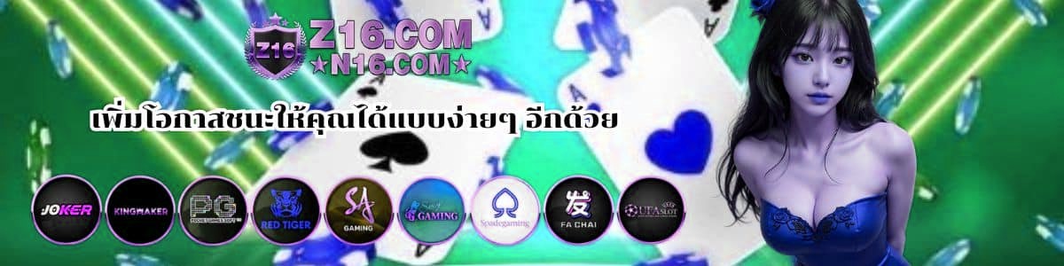 โปรโมชั่นหลากหลาย